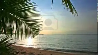 Playa solitaria- Los Rockets.