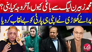 Muhammad Zubair Exposed PML-N | Criticises Ishaq Dar | Speak Openly Against Maryam And Nawaz Sharif