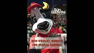 New owners &lsquo;OnDeck&rsquo; for Visalia Rawhide