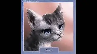 Элит с Искрой // #warriorcats #котывоители #edit #cat #warriors #искра