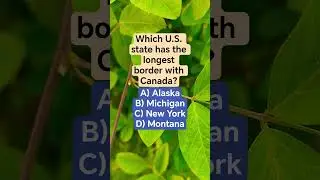 Какой штат США имеет самую длинную границу с Канадой?