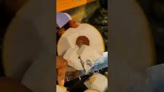 Yellow Coconut Cutting Skills🥥🥥(Ep-389).