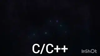 Top 5 programming language 2022