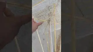 New jaal lagaya kabootar pakadne ka