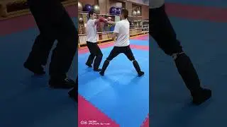 Вин Чунь Куэн. Спарринг #top #wingchunvl #youtube #martialarts #shorts #boxing