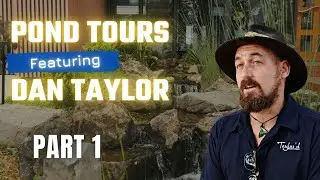 Mooloolaba Pond - Taylor&rsquo;d Waterscapes Pond Tour Part 1