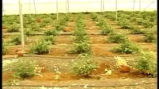 Pon Vilaiyum Bhoomi  20/11/2014  Part-1