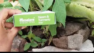 Himalaya Neem &Tumeric Soap review😱 in tamil | prevent rashes and acne