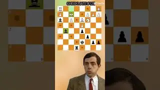 AMAZING CHECKMATE !