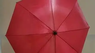 30'' Golf Umbrella with Eva Handle (Auto) -- UD 531U