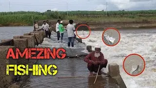 Pathan fishing/Baali fishing/patan fishing/pathan fish/Baali fish/fishing videos/fish hunting 