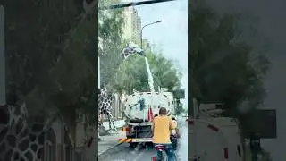 Street Cleaning Has Never Looked So Wild!