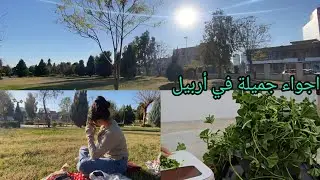 /اسواق أربيل /جولة في الحديقة 🥰 هولير طبخت خباز بأسهل واطيب طريقة 