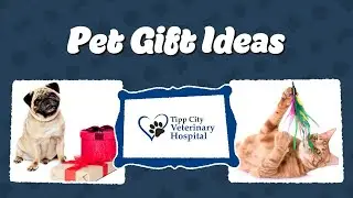 Pet Gift Ideas