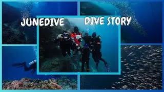 2024.06.29 DIVESTORY DIVE LOG