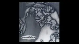 Pureblast - Nevermind (IN2STELLAR Remix)