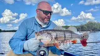 Fly Fishing the Amazon with Nomadic Waters