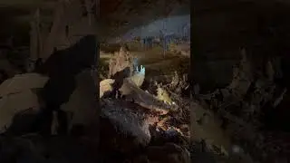 This is how 25 million year old cave looks like #trending #cave #texas #shorts