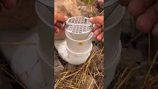 outdoor sewer pipe rodent-proof filter #PROHACKSSR #SmartLifeHacks #WaterHack #EasySolutions #Daily