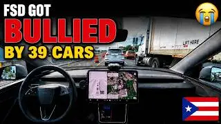 &ldquo;Mad Max&rdquo; Mode? FSD Got Bullied by 39 Cars Before Moving Over