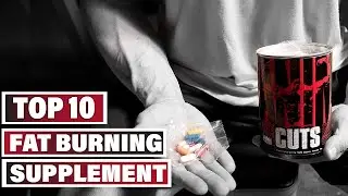Best Fat Burning Supplement In 2025- Top 10 Fat Burning Supplements Review