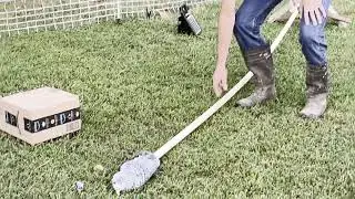 Will a Fake Owl Protect Chickens from Hawks and other Flying Predators???????
