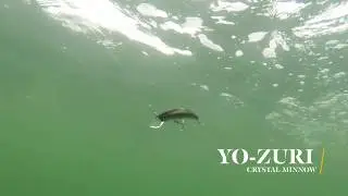 How Lures Swim: Yo-Zuri Crystal Minnow