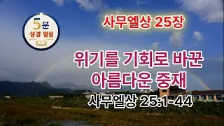 [사무엘상 25장] 25/31 위기를 기회로 바꾼 아름다운 중재(1-44) #5분말씀 #사무엘상 #브루