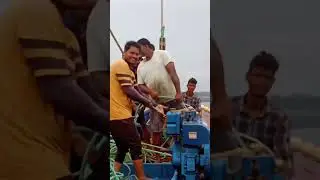 TARLI FISH || Fishing in goa 🐟 #viral #goa #fishing #shorts