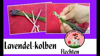Lavendel-kolben Flechten