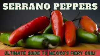 Serrano Pepper: Ultimate Guide to Mexico&rsquo;s Fiery Chili
