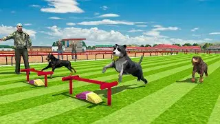 Dog Simulator pet games English 4K gameplay walkthrough | US army dog training Camp #dog #dogshorts