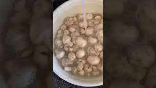 Mantar Unla Temizleniyor Efsanesi Ger&ccedil;ek mi? Denedim.