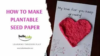 HOW TO MAKE SEED PAPER - Plantable seed paper hearts