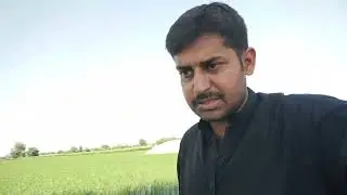 Ravi River Sidhnai Head Kot islam #highalert #flood 
