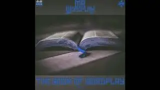 Mr. Wordplay 