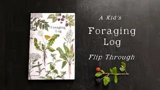 Kids Foraging Log Flip-through