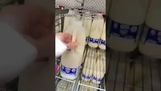 How much does milk cost in Scotland?