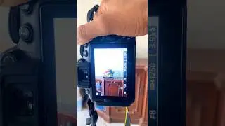 Nikon 5300 D 18 55 photo shooting l ￼#short #shorts #ytshorts #india #nikon #camera