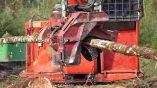 Visiting a Weyerhaeuser Logging Operation