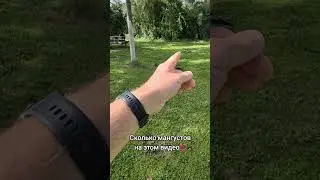 Сколько мангустов на этом видео⁉️