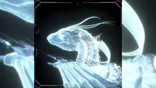 Zorza - Bodiless