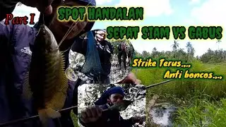 SPOT HANDALAN Part 1 Strike Sepat Siam babon