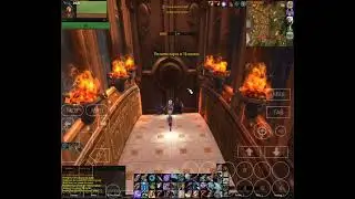 Winlator 8 World of Warcraft Fully OFFLINE w/Bots on Android Samsung Z Fold 6 Snapdragon 8Gen3 70fps