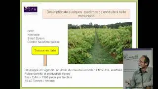 Les systèmes de conduite de la vigne à taille mécanisée par Thierry Dufourcq (IFV Sud-Ouest)