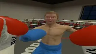 I try Boxing in VR! (Exercise)