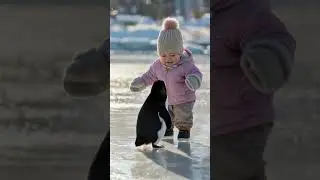Baby and Penguin Sliding on Ice &ndash; Cutest Winter Friends!