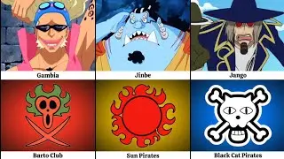 ONE PIECE VICE CAPTAINS AND PIRATE CREWS🔥