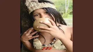 Amazonia