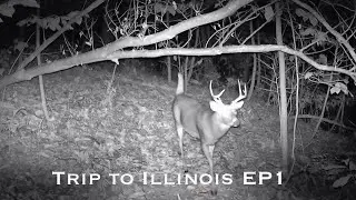 Trip to Illinois Whitetail Bow Hunt Episode 1